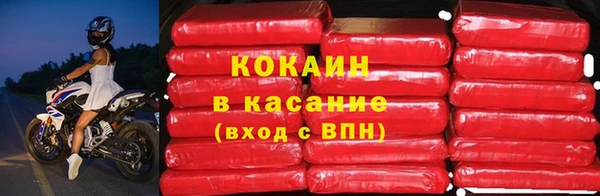 стаф Алексин