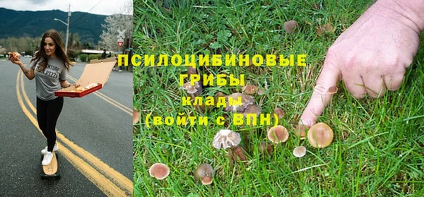 стаф Алексин