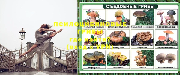 твердый Алексеевка