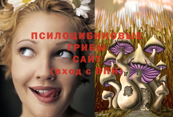 дживик Абаза
