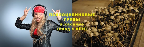 твердый Алексеевка